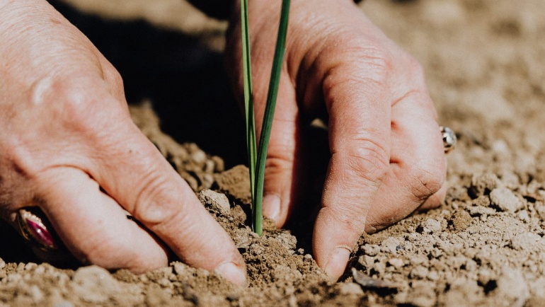 Η 50και Ελλάς τιμάει την Παγκόσμια Ημέρα της Γης