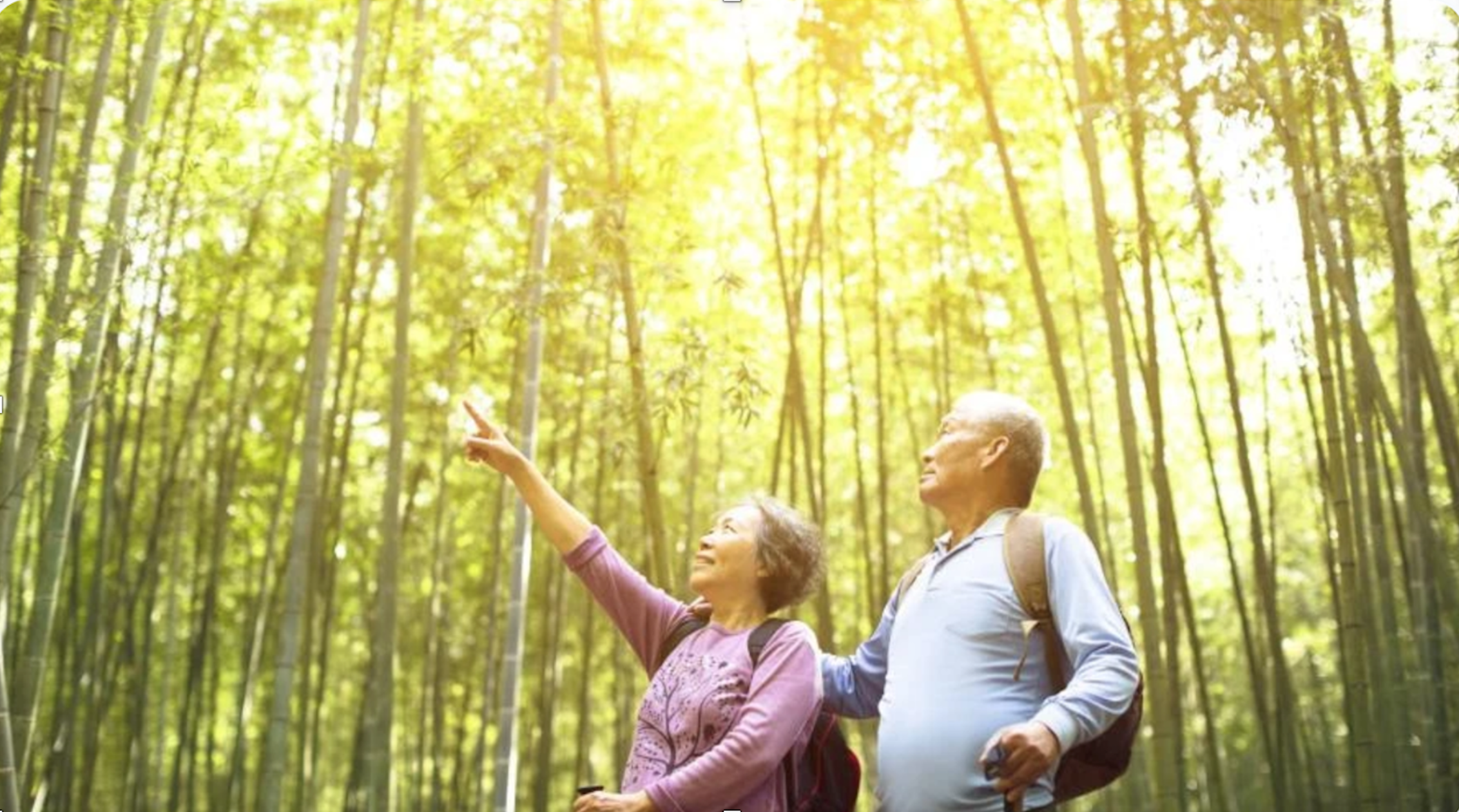 Γιατί πρέπει να στοχεύσετε στην αγορά τουρισμού για ηλικιωμένους;